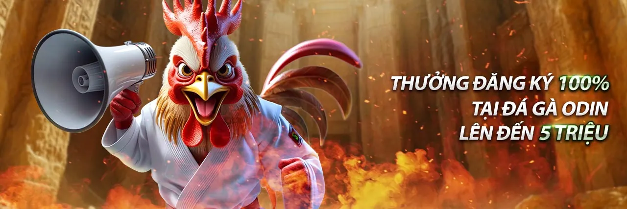 Đọc bảng điểm và phân tích kết quả Rồng Hổ 99